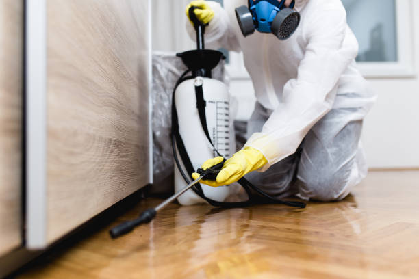 Best Local Pest Control Services  in Mayville, NY