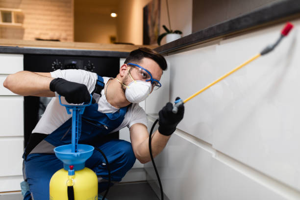 Flea Control Services in Mayville, NY