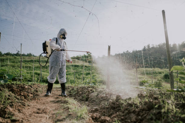 Best Pest Prevention Services  in Mayville, NY