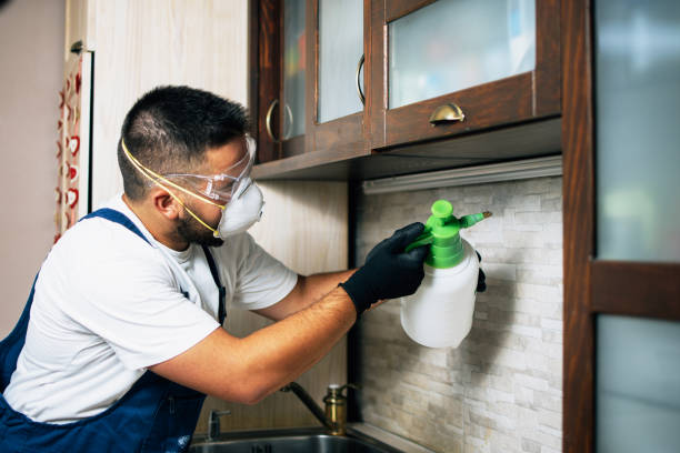 Best Emergency Pest Control  in Mayville, NY