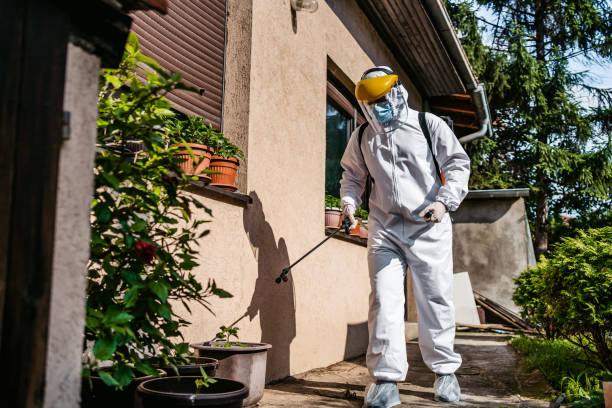 Best Wildlife Control Services  in Mayville, NY