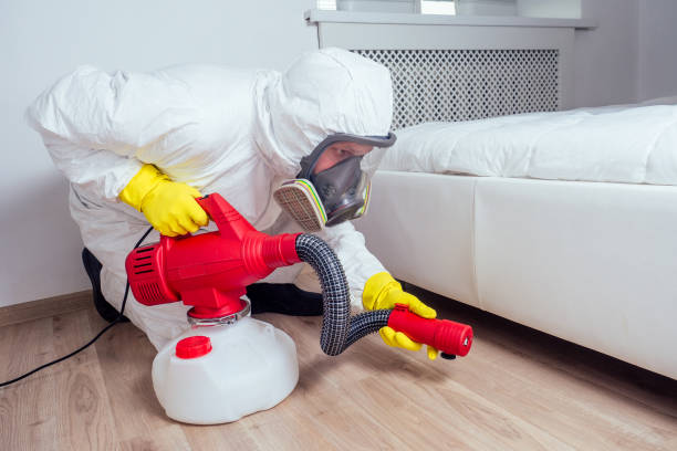 Best Wasp Removal Services  in Mayville, NY
