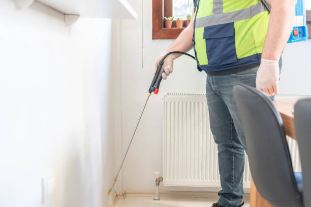 Trusted Mayville, NY Pest Control Experts
