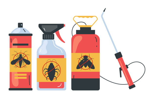 Best Termite Control Services  in Mayville, NY