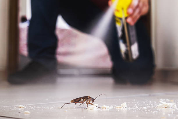 Pest Control Cost in Mayville, NY