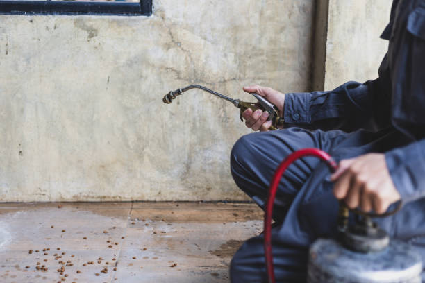 Best Affordable Pest Control Services  in Mayville, NY